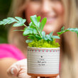 Load image into Gallery viewer, Mini Artisan Planter - Mom