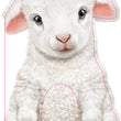 Load image into Gallery viewer, Furry Animal Baby Books