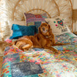 Load image into Gallery viewer, Double-Sided XL Cozy Blanket