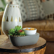 Load image into Gallery viewer, Succulent Garden Fragrance Warmer