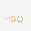 Load image into Gallery viewer, Family Earrings