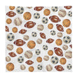 Load image into Gallery viewer, Baby Swaddles with Hand Painted Artwork