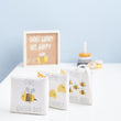 Load image into Gallery viewer, Soft Five-Panel Infant Books