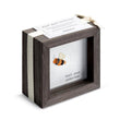 Load image into Gallery viewer, Find Your Sunshine Bumblebee Shadow Box
