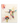Load image into Gallery viewer, Hummingbird Biodegradable Dish Cloths
