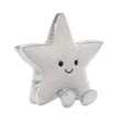 Load image into Gallery viewer, Amuseables Silver Star (2026)
