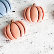 Load image into Gallery viewer, Elly Marie Fall Clay Earrings
