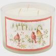 Load image into Gallery viewer, Winter Cardinal Candle
