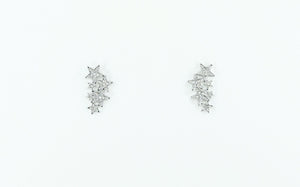 Zeb Star Climber Earrings