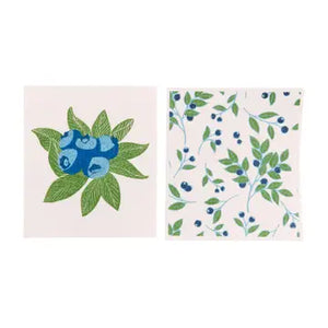 Blu Cloth Eco Sponge Cloth Set