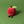 Load image into Gallery viewer, Amuseables Apple
