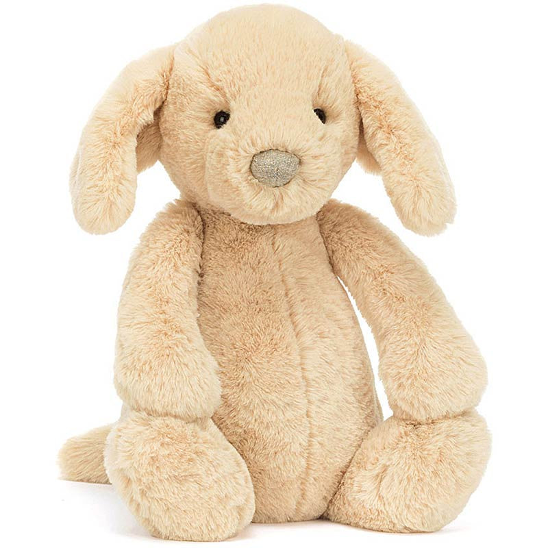 Bashful Luxe Puppy Orlando