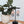 Load image into Gallery viewer, Organic Triple Slim Dangles
