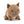 Load image into Gallery viewer, Swinley Boar
