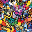 Load image into Gallery viewer, All the Butterflies 500 Piece Jigsaw Puzzle
