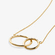 Load image into Gallery viewer, Family Interlocking Circles Necklace
