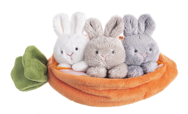 Carrot and Bunny Learn & Grow