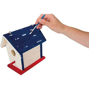 Paint A Bird Kit