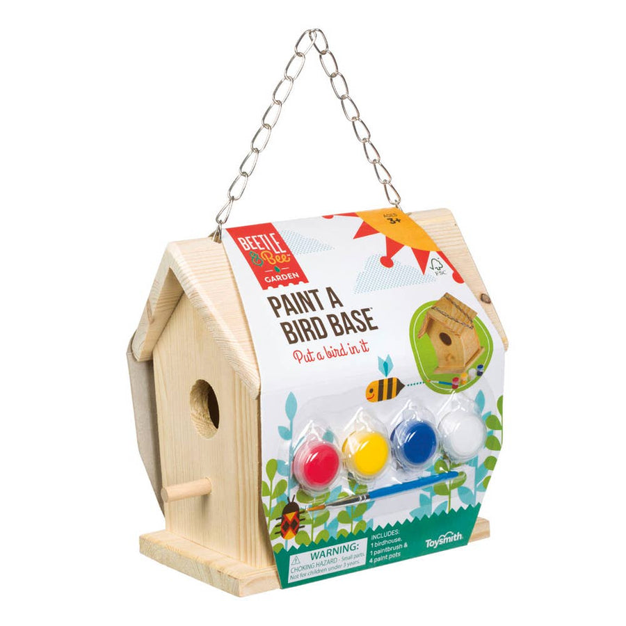 Paint A Bird Kit