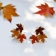Load image into Gallery viewer, Fall Studs &amp; Stud Sets
