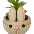 Load image into Gallery viewer, Bunny Planters
