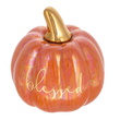 Load image into Gallery viewer, Iridescent Message Pumpkins
