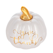 Load image into Gallery viewer, Iridescent Message Pumpkins
