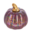 Load image into Gallery viewer, Iridescent Message Pumpkins
