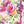 Load image into Gallery viewer, Peter Pauper Journals
