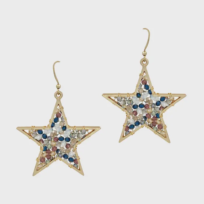 Star Dark Multi Earrings