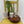 Load image into Gallery viewer, Queen Bee Subscription
