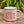 Load image into Gallery viewer, Strong Women Pink Camp Mug
